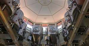 9 micro-brewing tanks